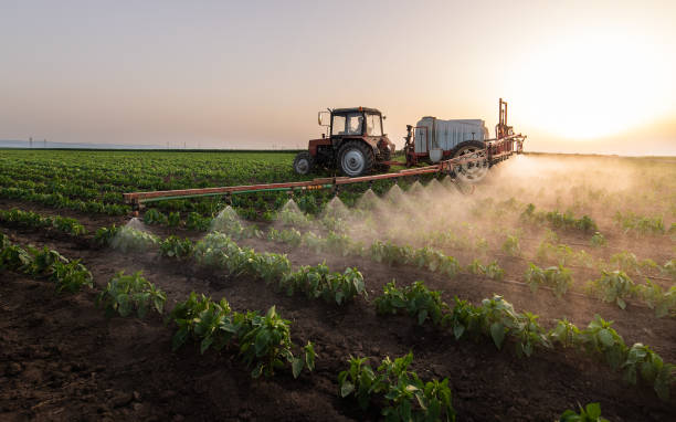 Best Pest Control Near Me  in Fmington, AR