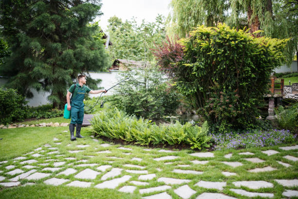 Best Mosquito Control Services  in Fmington, AR