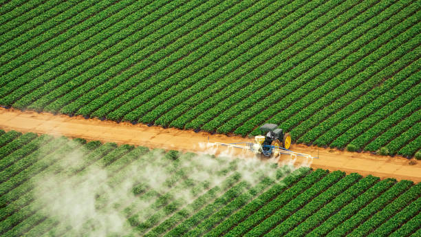 Best Insect Control  in Fmington, AR