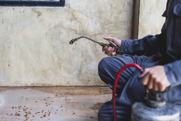 Best Affordable Pest Control Services  in Fmington, AR
